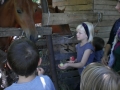 S�RKOV�CS T�BOR 
